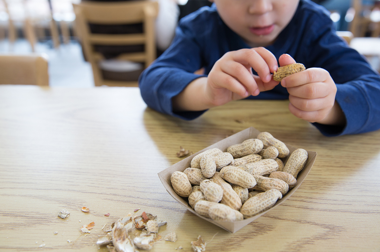 Boy in blue jacket holding peanuts